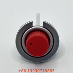 Straight Valve Stem Typ Portable Gaskocherventil Großhandel 1/4 Zoll NPT Steckdraht
