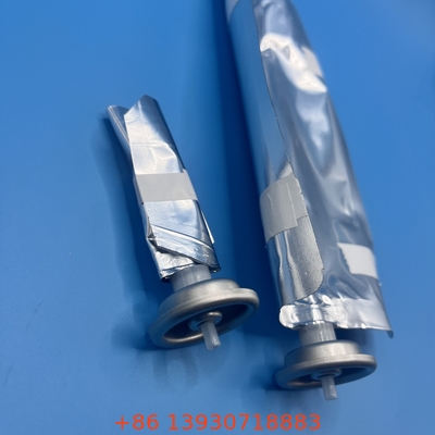 Tasche auf Ventil Aerosol Tasche Ventil mit Zylinder Anwendung
