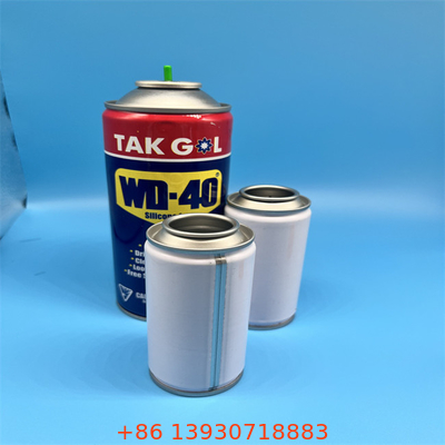 Customized Logo Butan-Gasflasche für BBQ und Outdoor-Aktivitäten