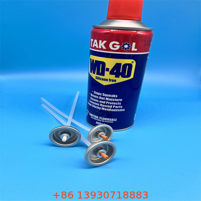 Customized Logo Butan-Gasflasche für BBQ und Outdoor-Aktivitäten