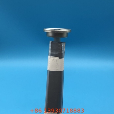 Lecksicherung Zylinderförmiger Aerosolsäckventil / Aerosolsäckventil mit individueller Kapazität