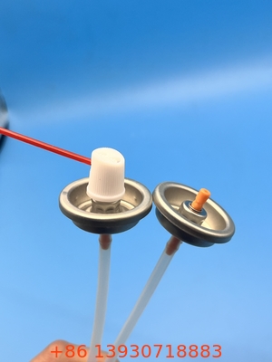25.4mm Metallfarbsprühventil mit Standard-Natur-Dip-Rohr und Buna Außendichtung