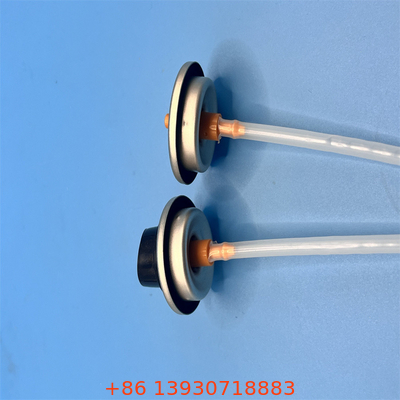 Natürliche Standard-Dip Tube Sprühfarbe Ventil mit Edelstahl Feder und Buna Dichtung