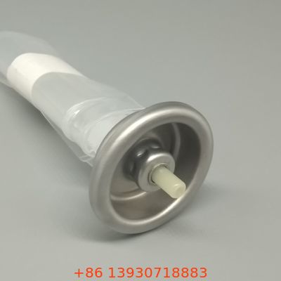 Innovatives System mit Tasche auf Ventil für Lebensmittel- und Kosmetik-Aerosolsprays