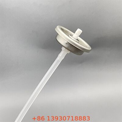 Korrosionsbeständiges ungiftiges Mehrzweck-Vergaserreinigungsventil für Industrie- und Automobilanwendungen