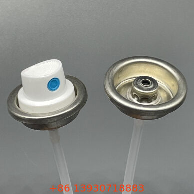 Farbgebundene, beschichtete, weibliche Lacksprühventile und Aktor-Set bereit zur Installation mit Verblendungs- und Kratzfestigkeit