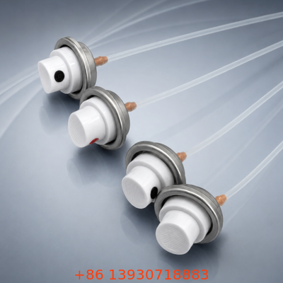 Farbveredeltes Aerosolventil für Farbe