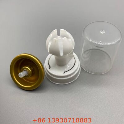 Hair Mousse Spray Nozzle, Foam Styling Nozzle, Aerosol Mousse Dispenser For Daily Hair Care And Salon Hairstyling